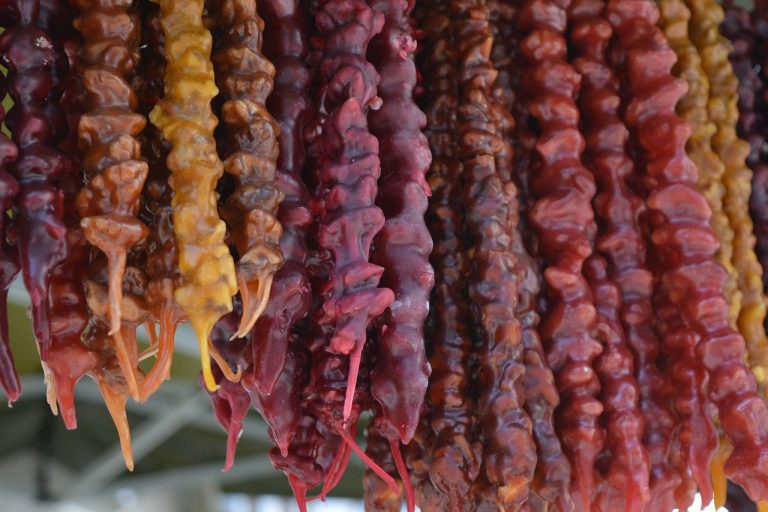 אכלים מיוחדים שאוכלים במהלך חופשה בגיאורגיה