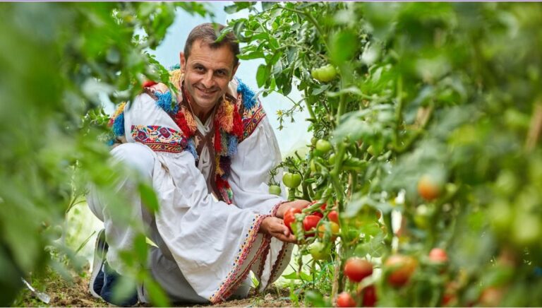 טיול ג'יפים ברומניה