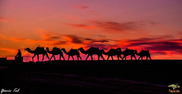 טיול מאורגן במרוקו